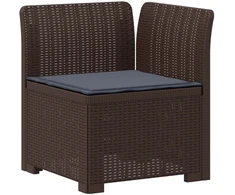 2-Vietis Sodo Sofas su Pagalvėlėmis, Atrodo kaip Ratano