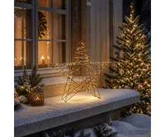 3D Kalėdų žvaigždė 120 LED Šilta balta 55 x 53,5 x 10 cm