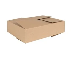 Sulankstoma dėžė 50 pcs Natūrali 40 x 30 x 10 cm Kartonas