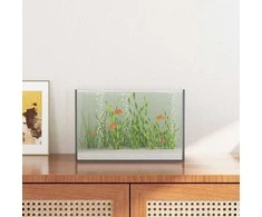 Akvariumas su saugykla Skaidrus 30 x 20 x 20 cm Stiklas