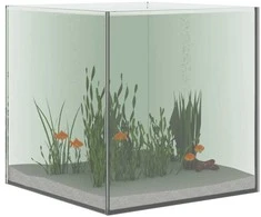 Akvariumas su saugykla Skaidrus 30 x 30 x 30 cm Stiklas