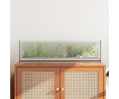Akvariumas su saugykla Skaidrus 80 x 20 x 20 cm Stiklas
