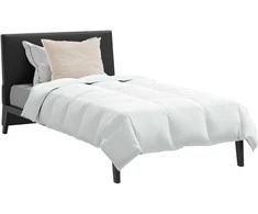 Patalynės komplektas Žiemos antklodė su pagalve 2 pcs Balta Plunksna
