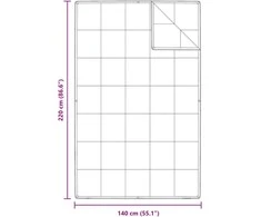 2-in-1 Antklodė Balta 140 x 220 cm Plunksna