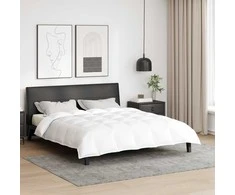 2-in-1 Antklodė Balta 200 x 200 cm Plunksna