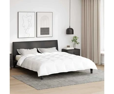 2-in-1 Antklodė Balta 240 x 200 cm Plunksna