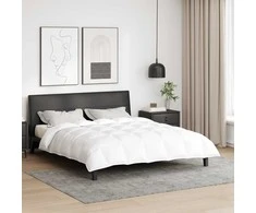 Žiemos antklodė Balta 200 x 220 cm Plunksna