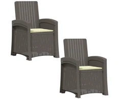 Atlošiamas sodo krėslas su rataniniu vaizdu 2 pcs