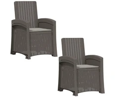 Atlošiamas sodo krėslas su rataniniu vaizdu 2 pcs