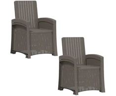 Atlošiamas sodo krėslas su rataniniu vaizdu 2 pcs