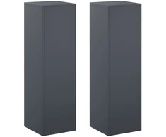 Augalų stovas 2 pcs Antracito 30 x 30 x 100 cm