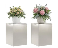 Augalų stovas 2 pcs Sidabrinė 30 x 30 x 40 cm Plienas