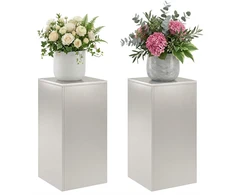 Augalų stovas 2 pcs Sidabrinė 30 x 30 x 60 cm Plienas