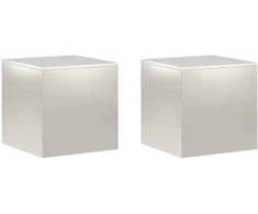 Augalų stovas 2 pcs Sidabrinė 40 x 40 x 40 cm Plienas