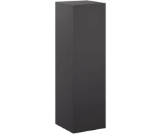Augalų stovas Juoda 30 x 30 x 100 cm Plienas