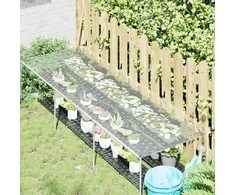 Augalų uždangalas Skaidrus 2,5 x 1,5 m PVC