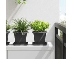 Augalų vazonai 24 pcs Juoda 16 x 16 x 14 cm Plastmasė