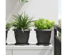 Augalų vazonai 24 pcs Juoda Ø 22 x 18 cm Plastmasė