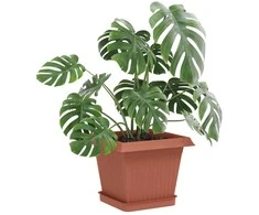 Augalų vazonai 24 pcs Raudona plyta 16 x 16 x 14 cm Plastmasė