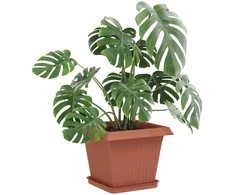Augalų vazonai 24 pcs Raudona plyta 33 x 33 x 26 cm Plastmasė