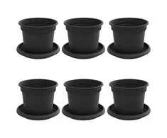 Augalų vazonai 6 pcs Juoda Ø 12,5 x 10 cm Plastmasė