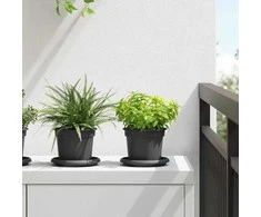 Augalų vazonai 6 pcs Juoda Ø 12,5 x 10 cm Plastmasė