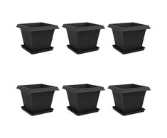 Augalų vazonai 6 pcs Juoda 43 x 43 x 33,5 cm Plastmasė