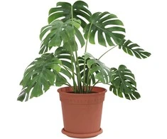 Lova Augalų vazonai 6 pcs Raudona plyta Ø 19 x 16 cm Plastmasė