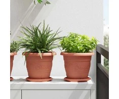Augalų vazonai 6 pcs Raudona plyta Ø 22 x 18 cm Plastmasė