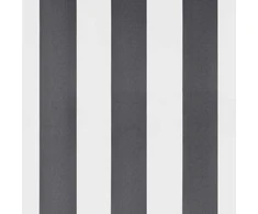 Automatinė ištraukiama markizė, antracito ir balta, 500x350cm