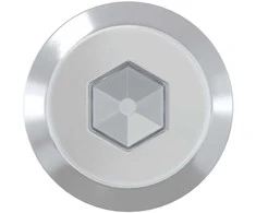 Baldų varžtai 12 pcs Sidabro M6 x 100 mm Plienas