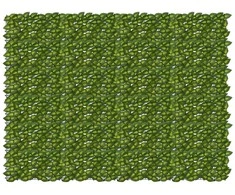 Balkono ekranas su lapais Žalia ir geltona 200 x 150 cm