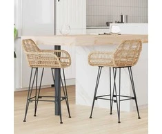 Baro Kėdė 2 pcs 55 x 52 x 92 cm Ratanas ir Geležis