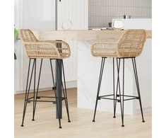 Baro Kėdė 2 pcs 55 x 52 x 105 cm Ratanas ir Geležis