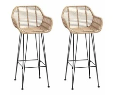 Baro Kėdė 2 pcs 55 x 52 x 105 cm Ratanas ir Geležis