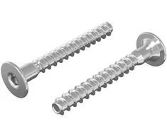 Confirmat varžtai 2 pcs Sidabro Ø5 x 40 mm Metalas