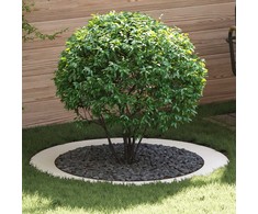 tinkamas plokščiam medžio žiedui Balta Ø90 / 120 cm Plienas