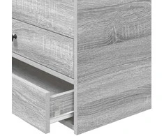 Dienos lova su stalčių Pilkas Sonoma ir juoda 100 x 200 cm