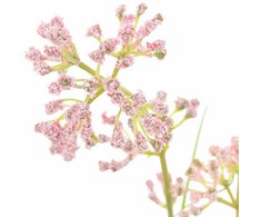 Dirbtinė Flora 95 cm Plastmasė