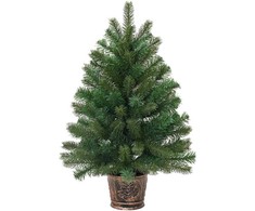 Dirbtinė Kalėdų eglutė su 150 LED s stovu Žalia 75 cm PE ir PVC