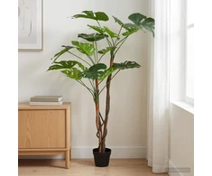 Dirbtinė Monstera Augalas Žalia 70 x 16 x 130 cm