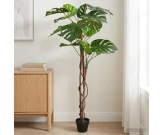 Dirbtinė Monstera Augalas Žalia 94 x 18 x 170 cm