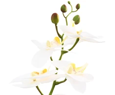 Dirbtinė orchidėja su vazonu Balta 45 x 15 x 65 cm