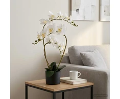 Dirbtinė orchidėja su vazonu Balta 45 x 15 x 65 cm