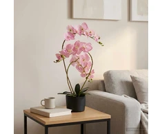 Dirbtinė orchidėja su vazonu Rožinė 45 x 15 x 65 cm