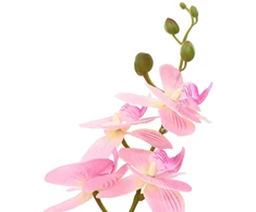 Dirbtinė orchidėja su vazonu Rožinė 45 x 15 x 65 cm
