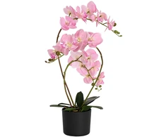 Dirbtinė orchidėja su vazonu Rožinė 45 x 15 x 65 cm