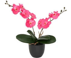 Dirbtinė orchidėjų augalas Raudona 36 x 10 x 30 cm
