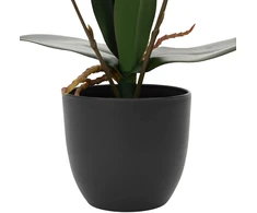 Dirbtinė orchidėjų augalas Raudona 36 x 10 x 30 cm
