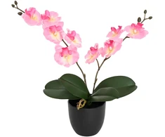 Dirbtinė orchidėjų augalas Rožinė 36 x 10 x 30 cm